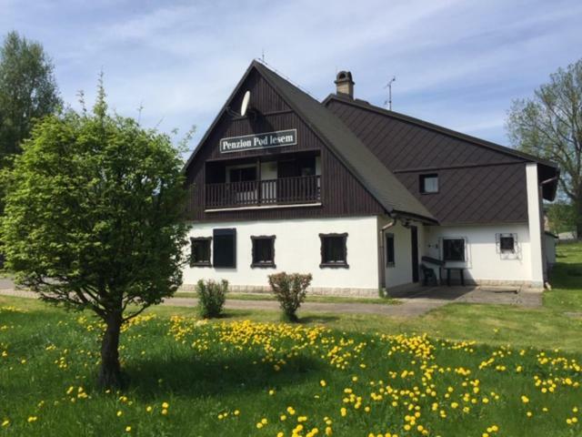 Penzion Pod Lesem Hotel Hodkovice Exterior photo