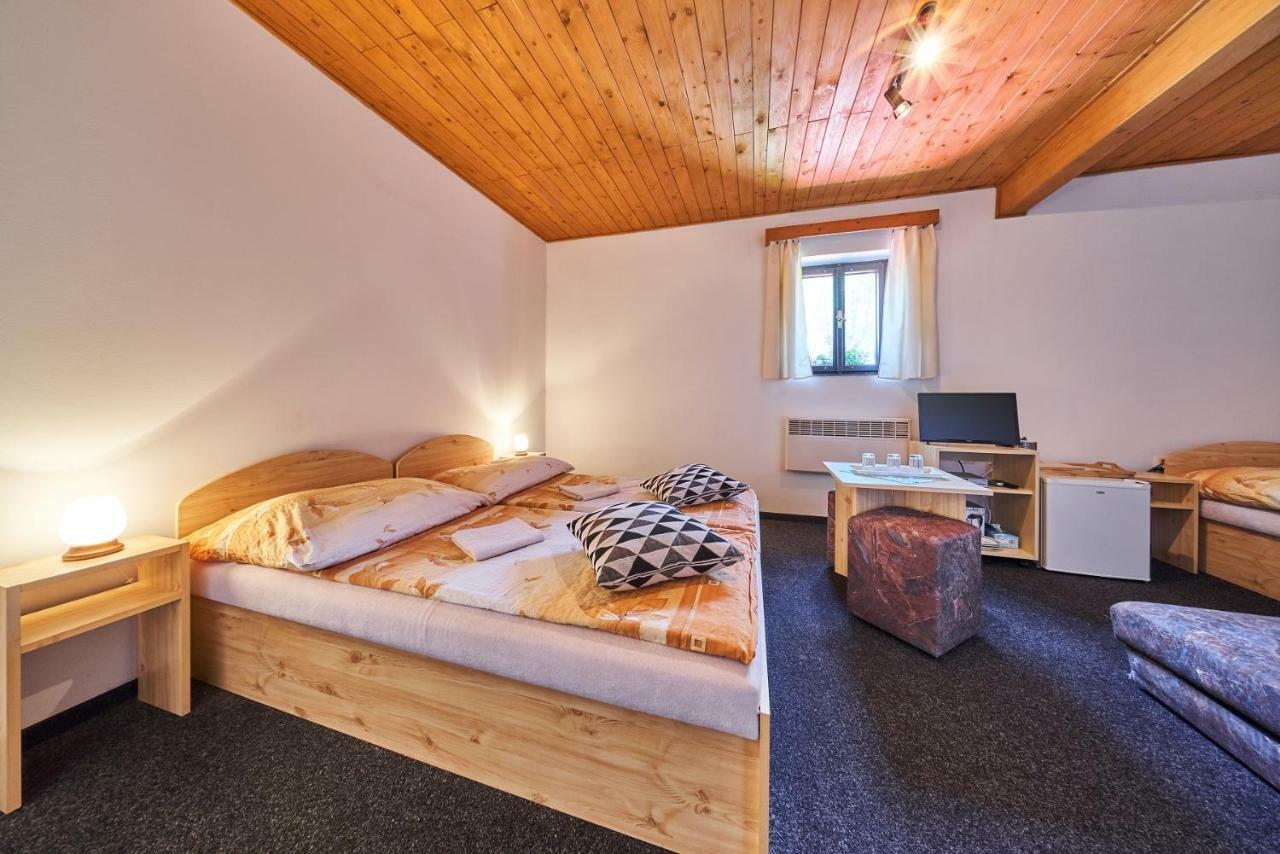 Penzion Pod Lesem Hotel Hodkovice Exterior photo